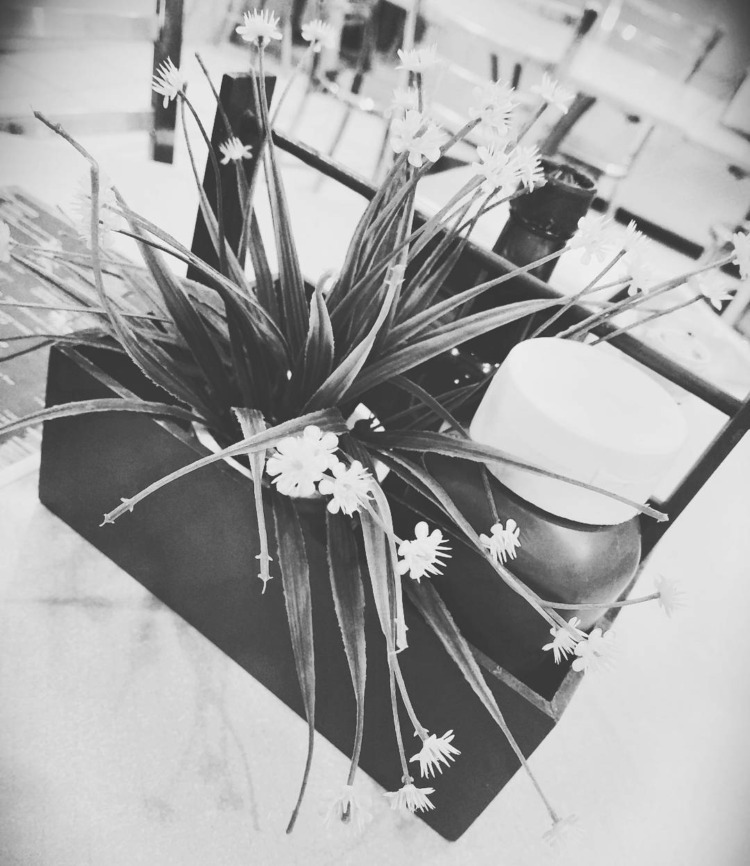 Flower on a desk