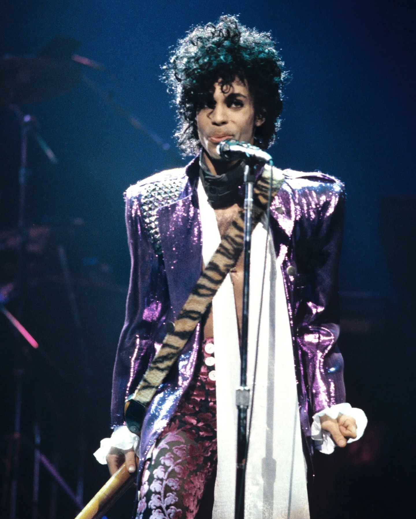 Picture of Prince